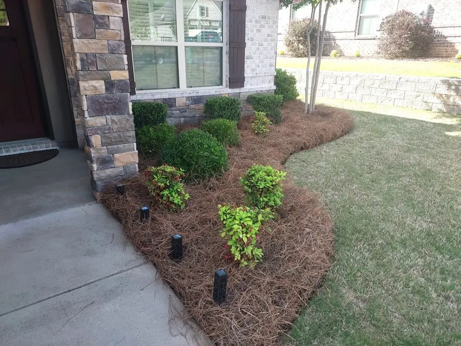 Mulched bed with small plants beside a stone-trimmed porch