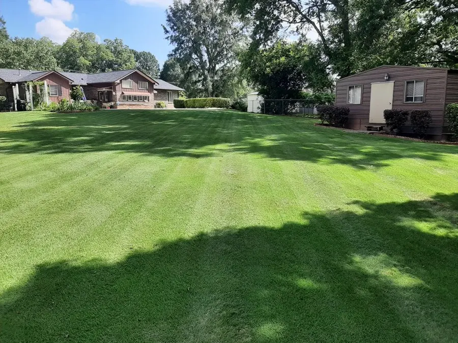 Freshly mowed lawn with mowing stripes