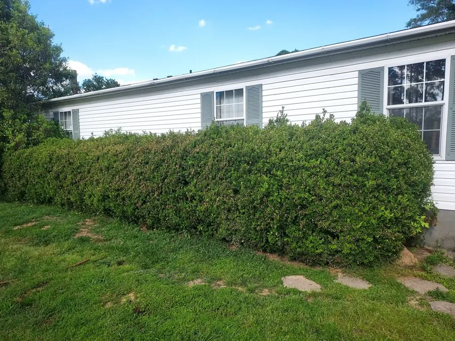Trimmed hedge along a white house