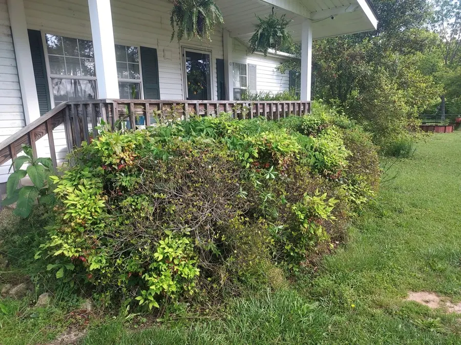 Porch with trimmed shrubs and a mowed lawn